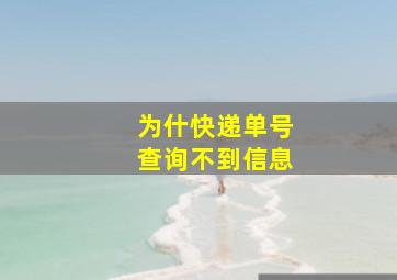 为什快递单号查询不到信息