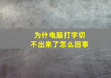 为什电脑打字切不出来了怎么回事