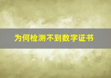 为何检测不到数字证书