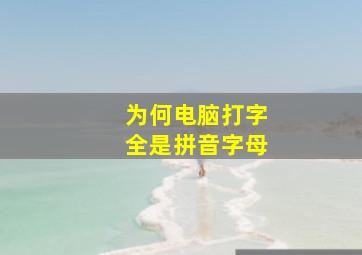 为何电脑打字全是拼音字母