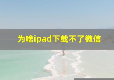 为啥ipad下载不了微信