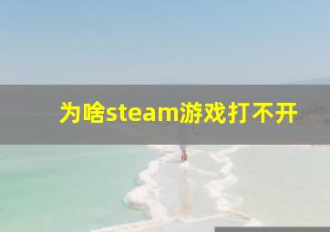 为啥steam游戏打不开