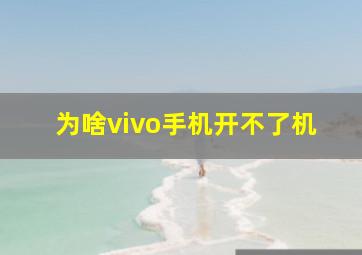 为啥vivo手机开不了机