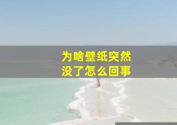 为啥壁纸突然没了怎么回事