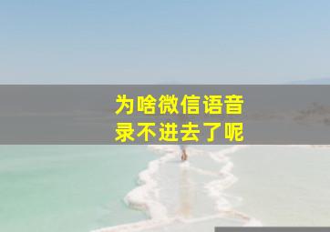 为啥微信语音录不进去了呢