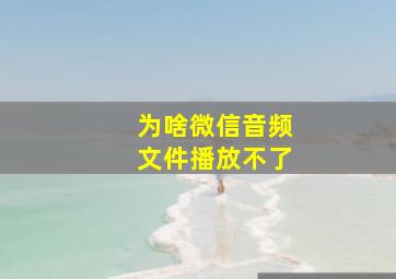 为啥微信音频文件播放不了