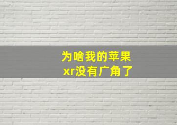 为啥我的苹果xr没有广角了