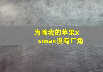 为啥我的苹果xsmax没有广角