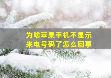 为啥苹果手机不显示来电号码了怎么回事