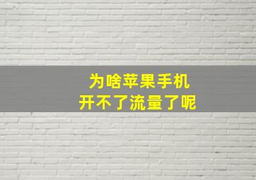 为啥苹果手机开不了流量了呢