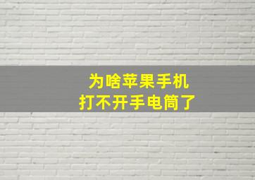 为啥苹果手机打不开手电筒了