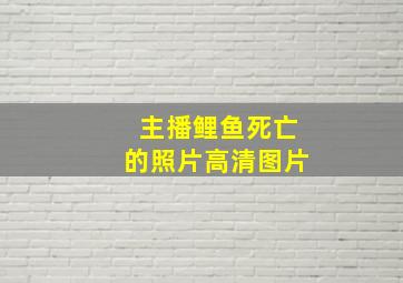 主播鲤鱼死亡的照片高清图片