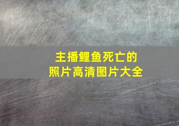 主播鲤鱼死亡的照片高清图片大全