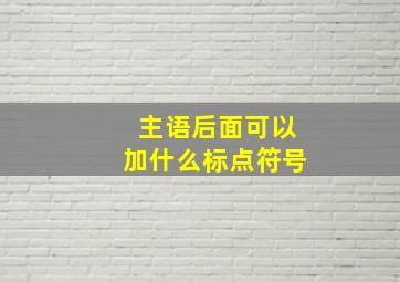 主语后面可以加什么标点符号