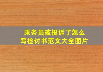 乘务员被投诉了怎么写检讨书范文大全图片