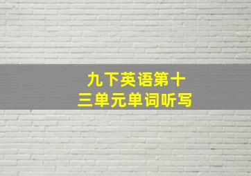 九下英语第十三单元单词听写