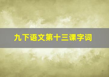 九下语文第十三课字词