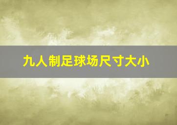 九人制足球场尺寸大小