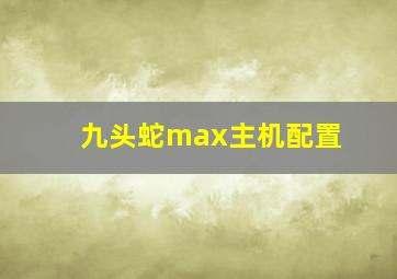 九头蛇max主机配置