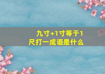 九寸+1寸等于1尺打一成语是什么