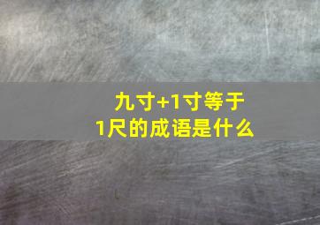 九寸+1寸等于1尺的成语是什么