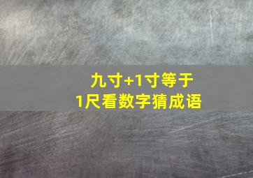 九寸+1寸等于1尺看数字猜成语