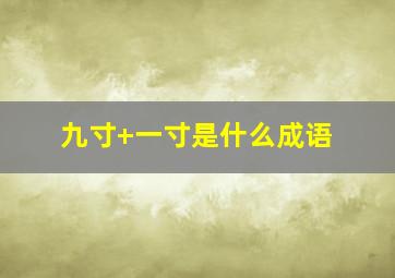 九寸+一寸是什么成语