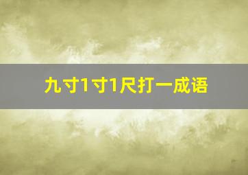 九寸1寸1尺打一成语