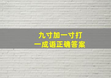 九寸加一寸打一成语正确答案