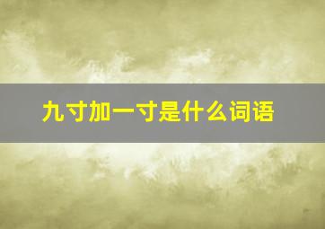 九寸加一寸是什么词语