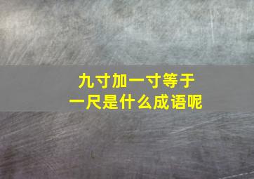 九寸加一寸等于一尺是什么成语呢