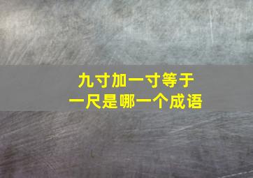 九寸加一寸等于一尺是哪一个成语