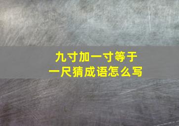 九寸加一寸等于一尺猜成语怎么写