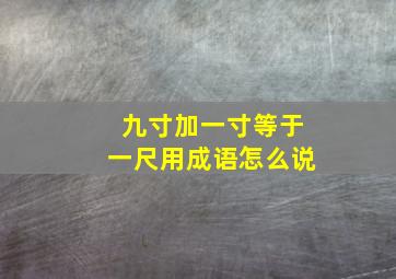 九寸加一寸等于一尺用成语怎么说