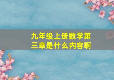 九年级上册数学第三章是什么内容啊