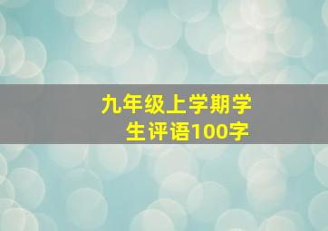 九年级上学期学生评语100字