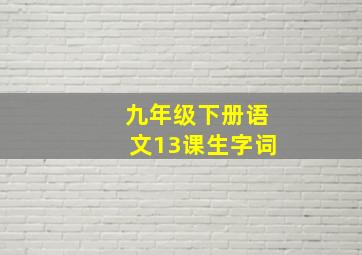 九年级下册语文13课生字词