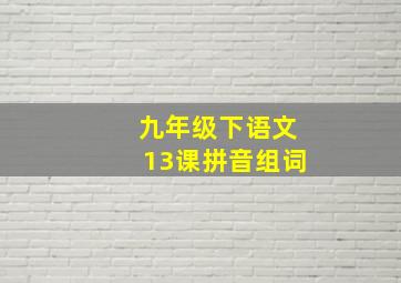 九年级下语文13课拼音组词