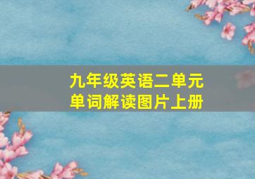 九年级英语二单元单词解读图片上册