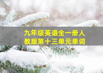 九年级英语全一册人教版第十三单元单词