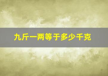 九斤一两等于多少千克