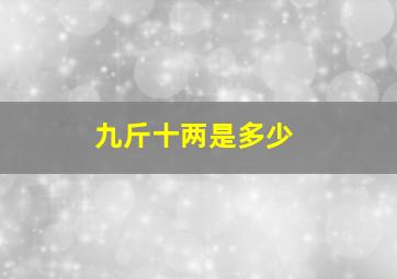 九斤十两是多少