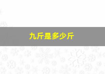 九斤是多少斤