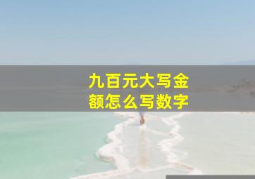 九百元大写金额怎么写数字