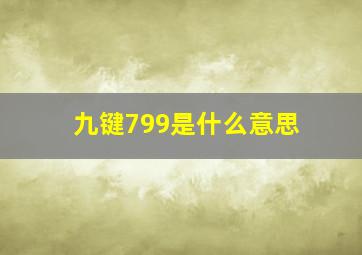 九键799是什么意思