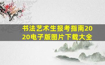 书法艺术生报考指南2020电子版图片下载大全