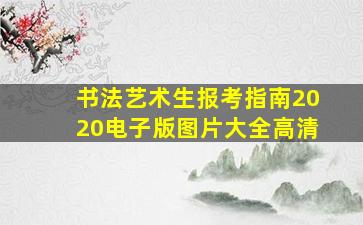 书法艺术生报考指南2020电子版图片大全高清