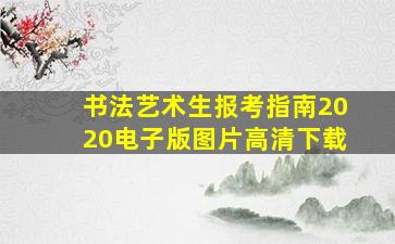 书法艺术生报考指南2020电子版图片高清下载