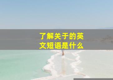 了解关于的英文短语是什么