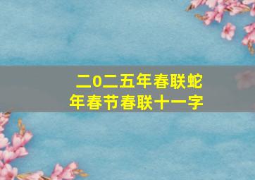 二0二五年春联蛇年春节春联十一字